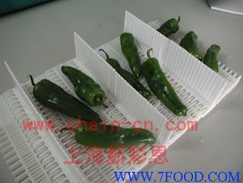 食品專用輸送帶_產(chǎn)品(價(jià)格、廠家)信息_中國(guó)食品科技網(wǎng)